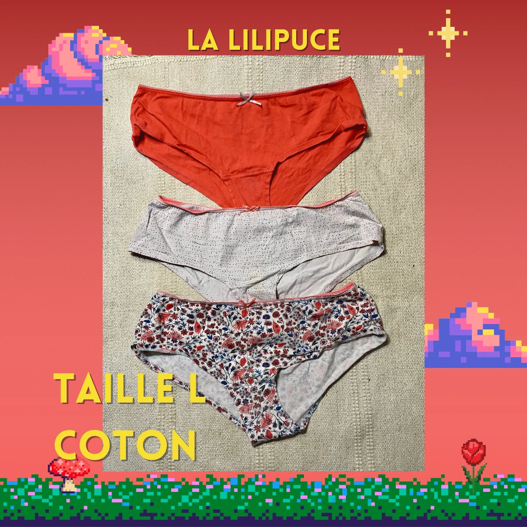 Photo de Culotte à l’unité coton taille L