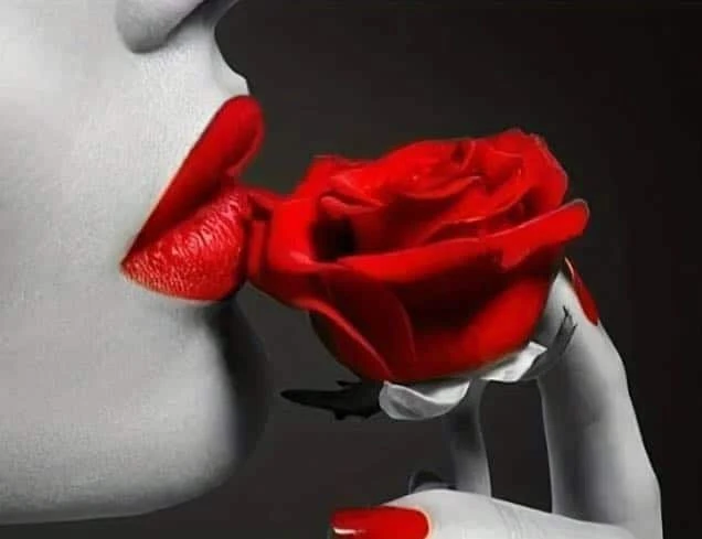 Photo de UNE ROSE POUR LE PLAISIR