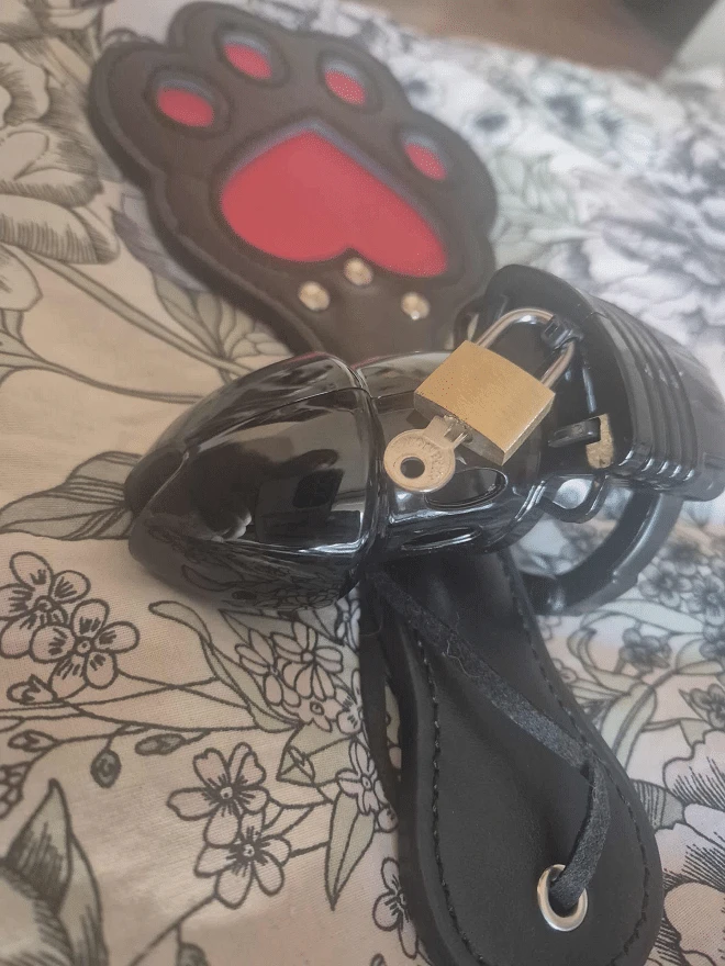Photo de ⛓️🔐 Controle chastetée🔐⛓️
