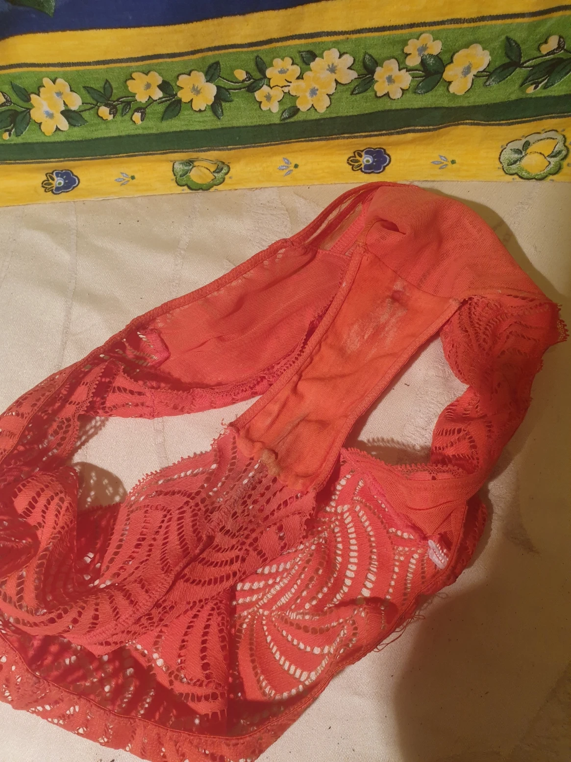Photo de La première culotte de Matura Liberta en vente...