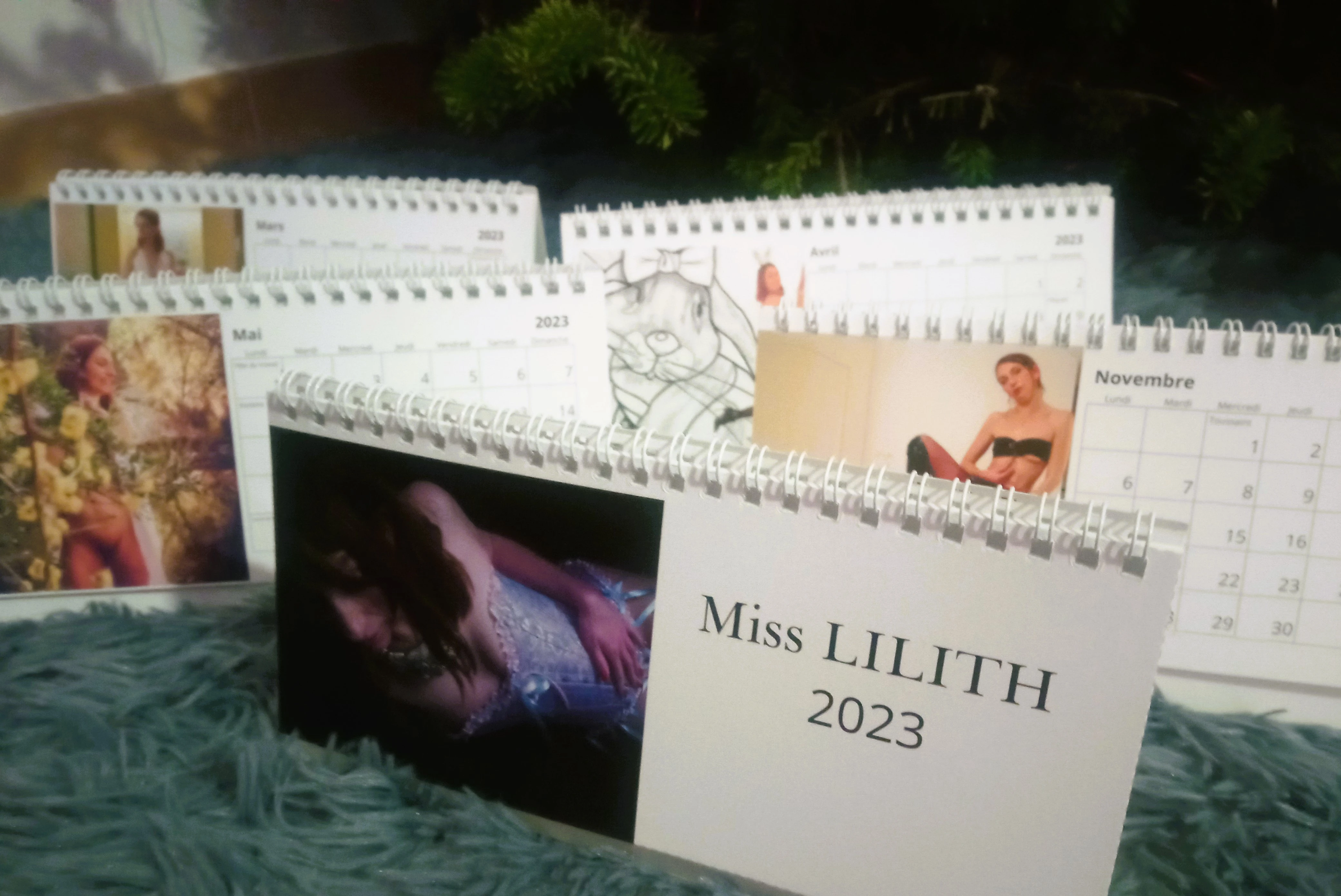 Photo de Exclusif ! Ton calendrier à poser près de...