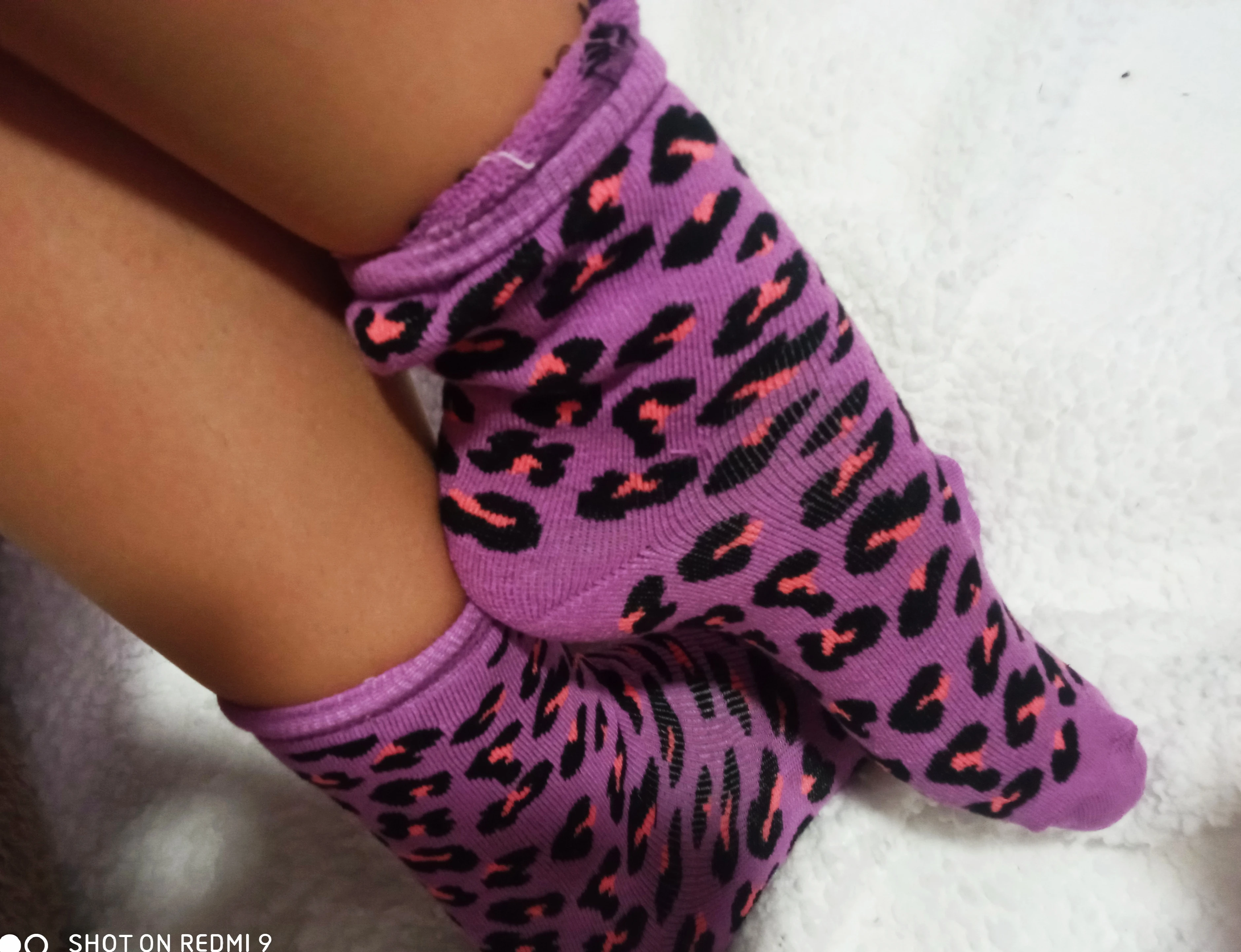 Photo de A l’adoption mes chaussettes félines