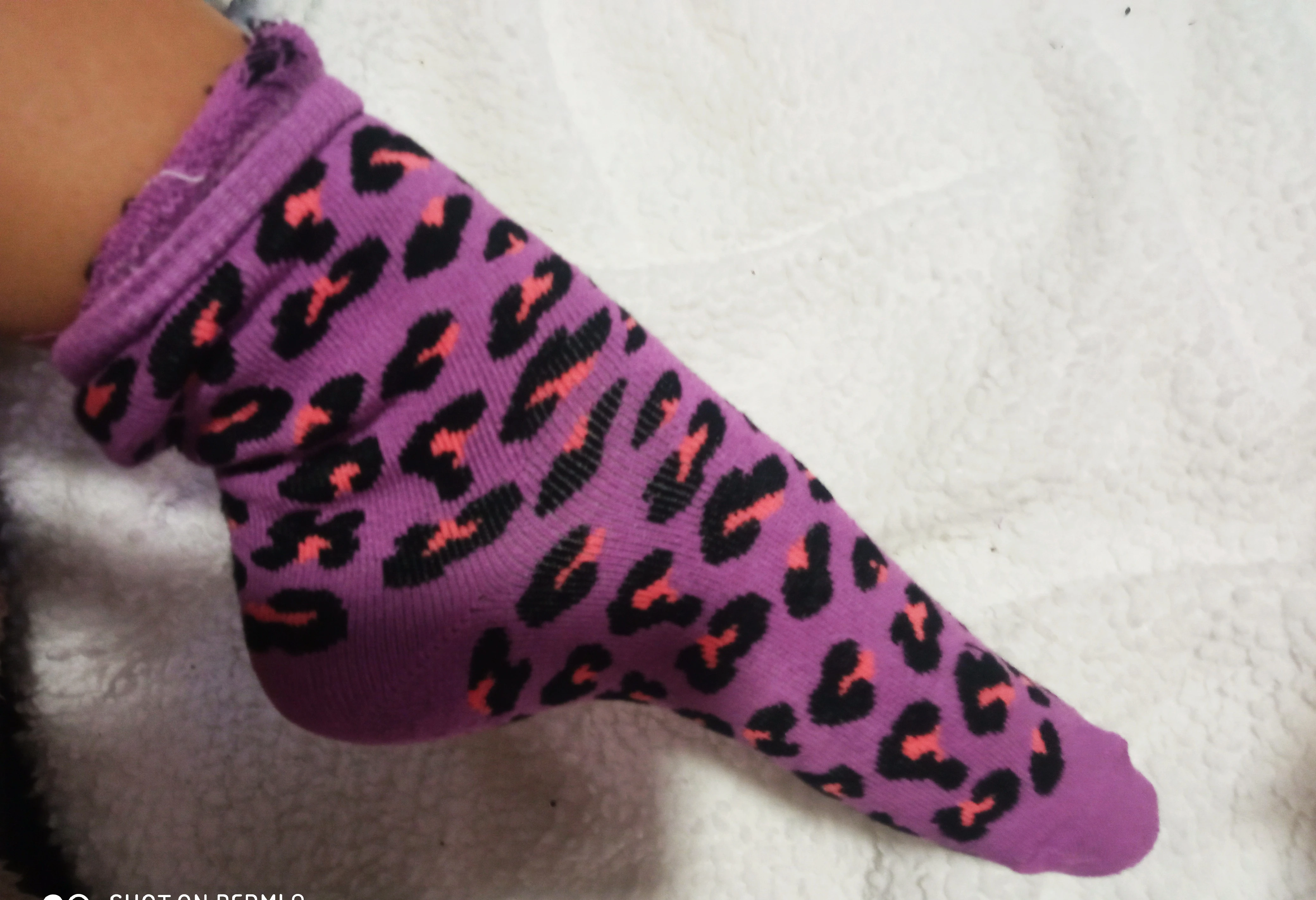 Photo de Mes chaussettes félines mauves