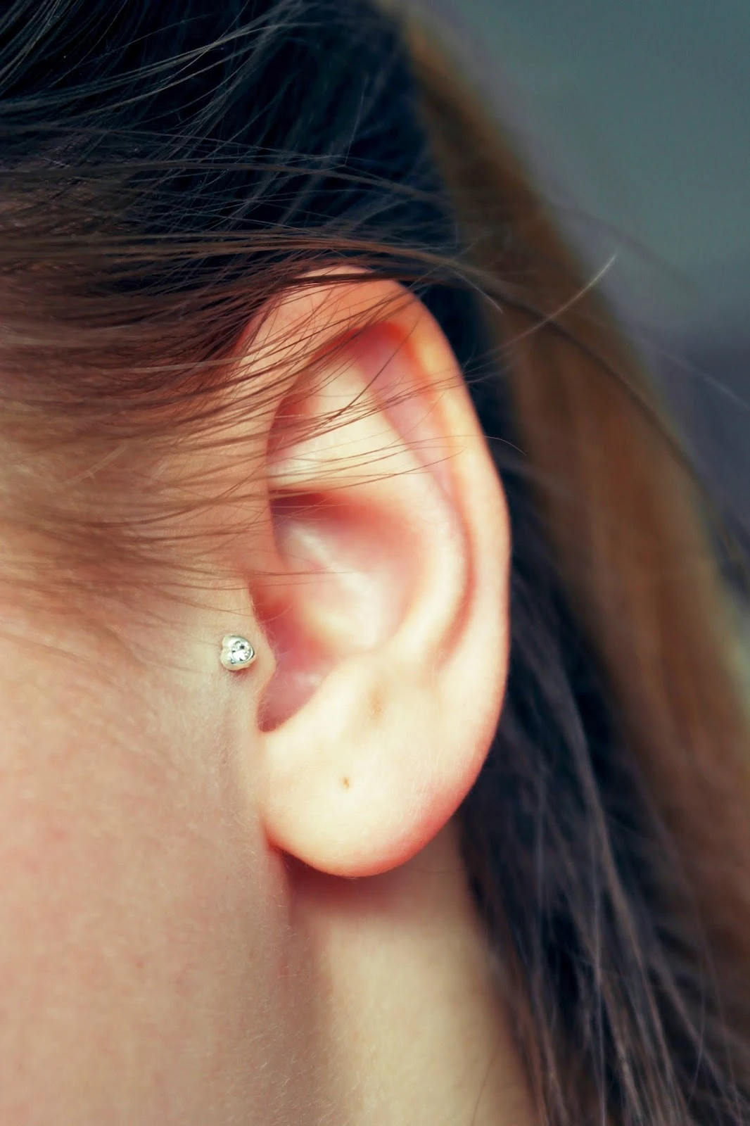 Photo de Projet piercing 1