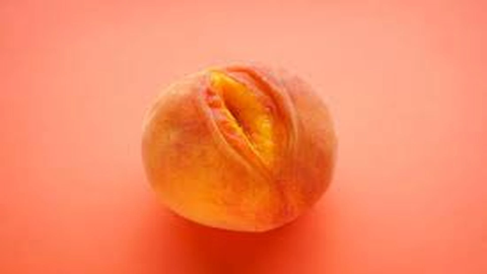/6892c3fd5592a.webp