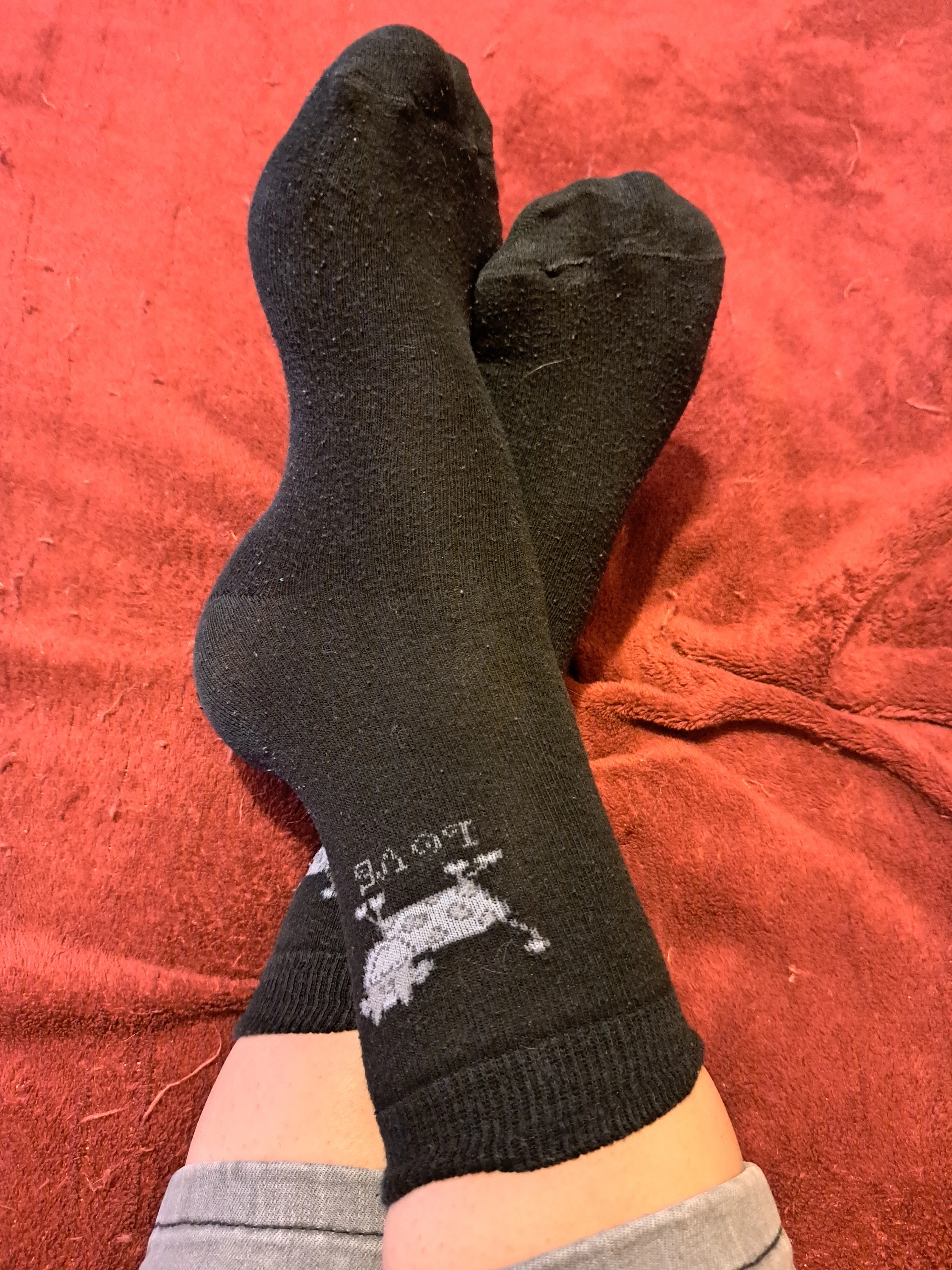 Photo de Chaussettes portées