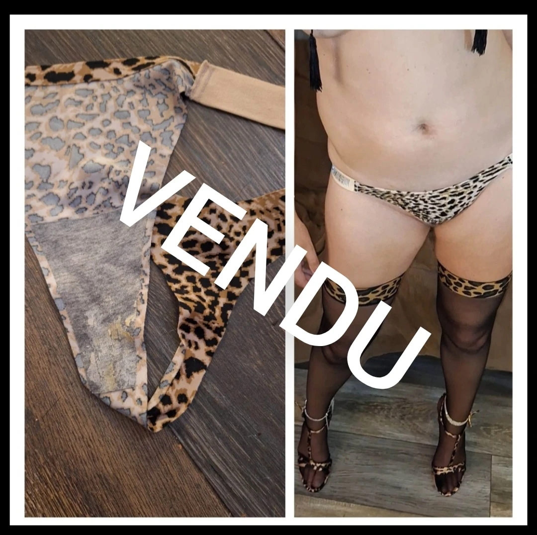 Photo de Culotte de feline
