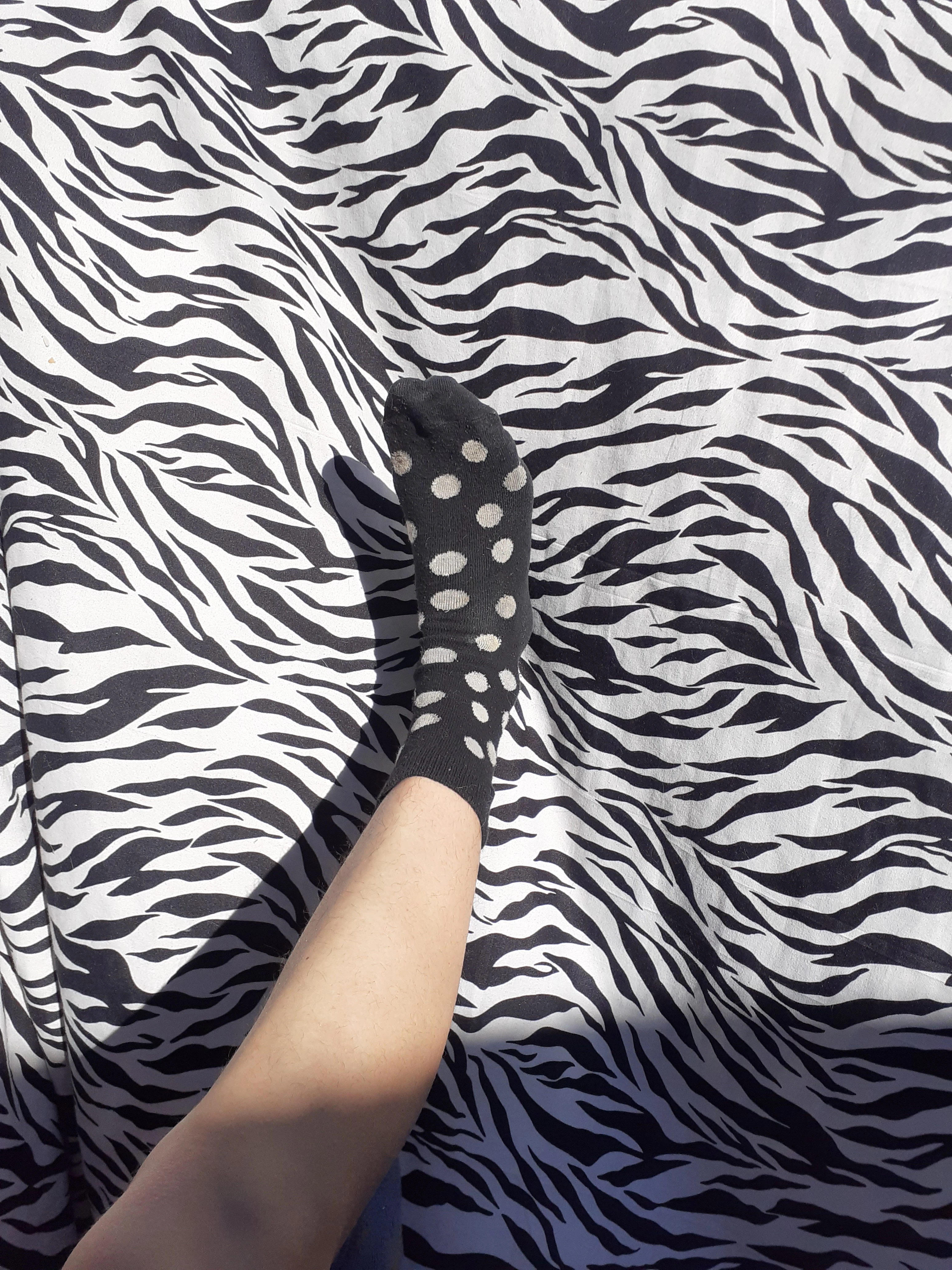 Photo de Chaussette à l’unité