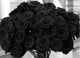 Photo de Offre moi un bouquet