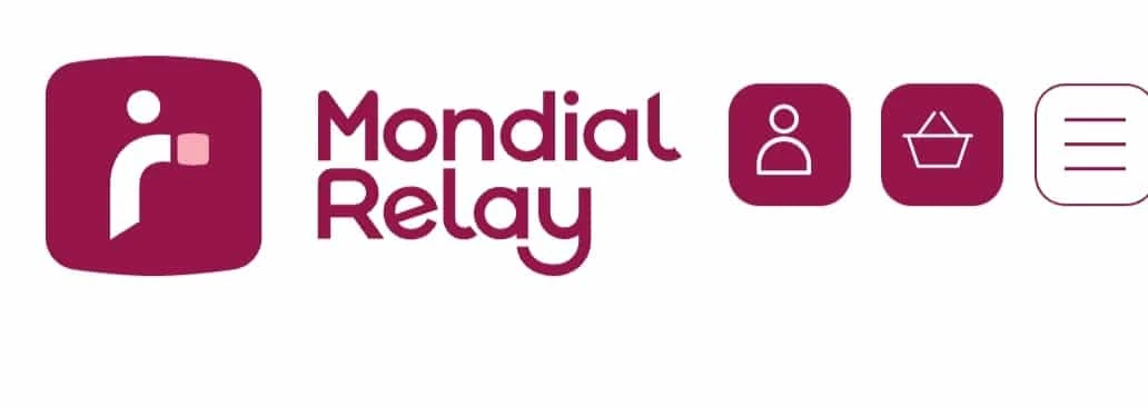 Photo de Mondial Relay colis de 1g a 350g