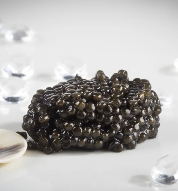 Photo de option CAVIAR pour mes petits 🐀
