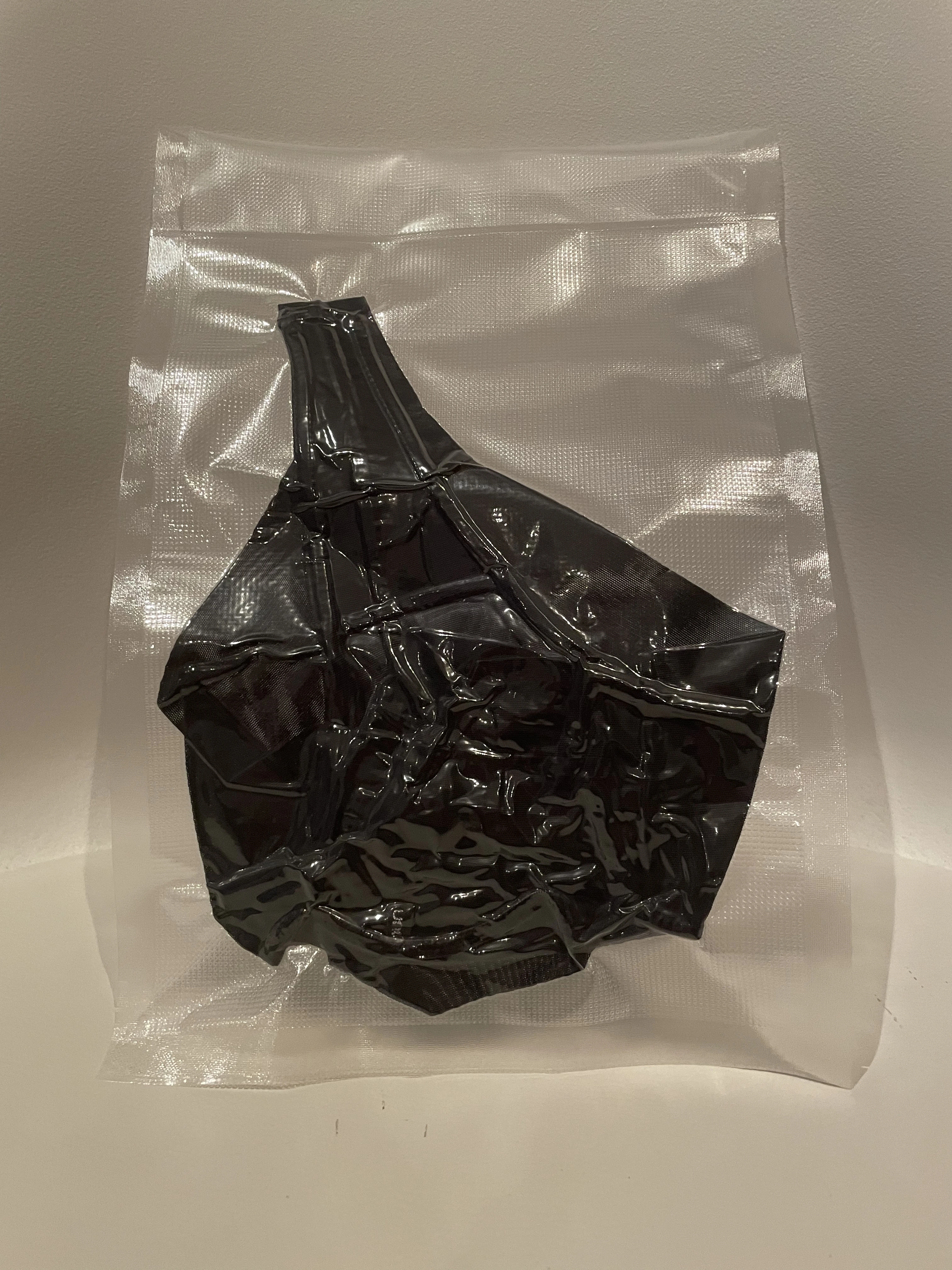 Photo de 🩲Sous vide pour mes petits 🐀