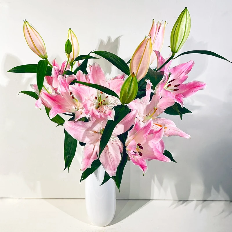 Photo de Ma fleur préférée! 🥰