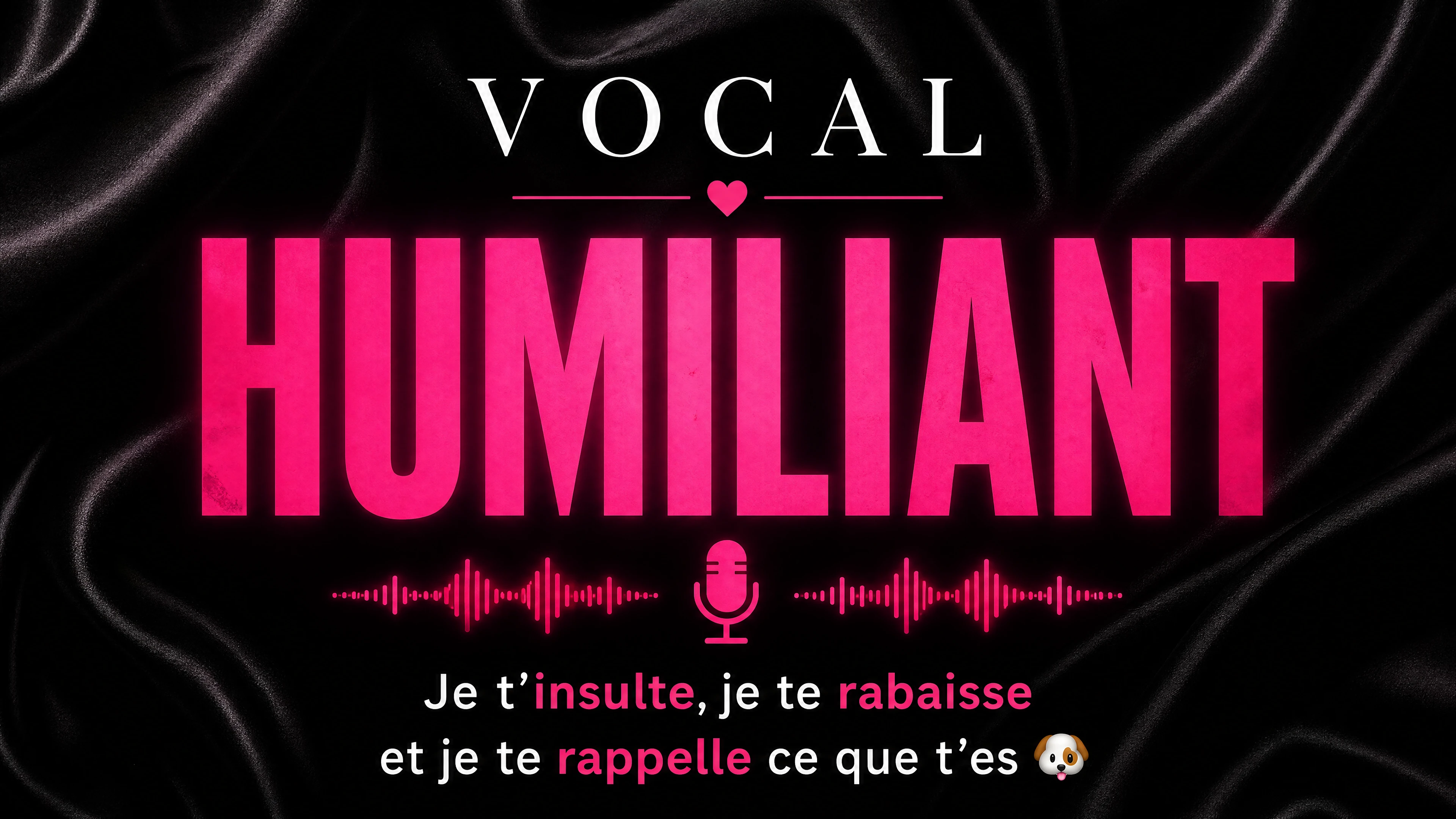 Photo de Vocal humiliant