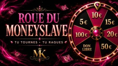 Photo de Roue du moneyslave 💵