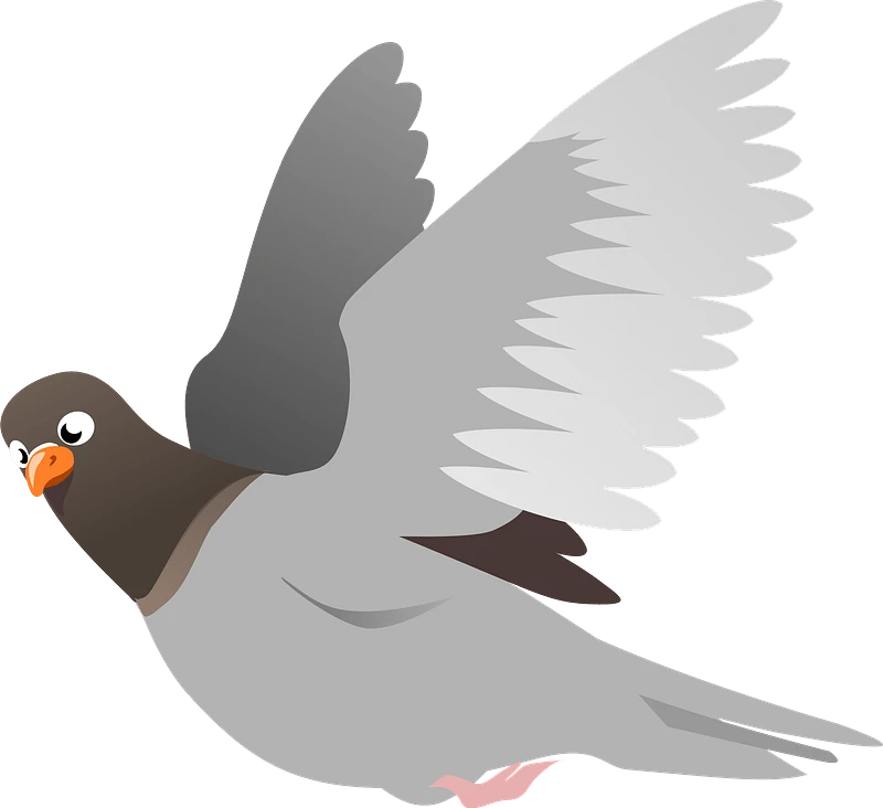 /6880f4eec1818.webp