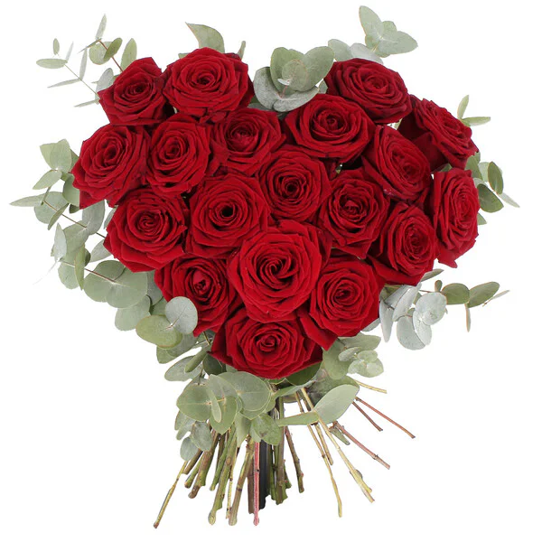 Photo de Un bouquet de roses rouge