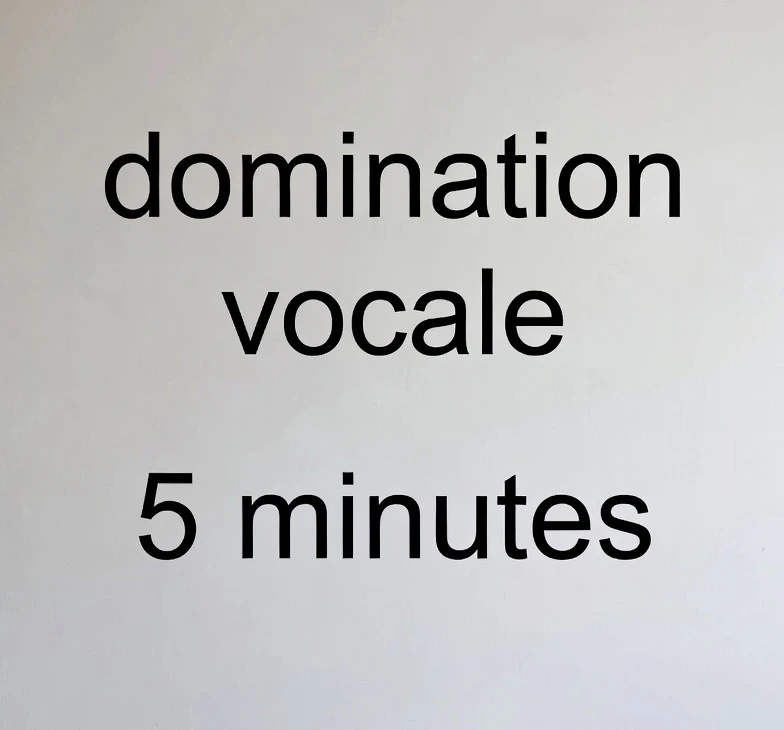 Photo de Domination vocale 5 minutes