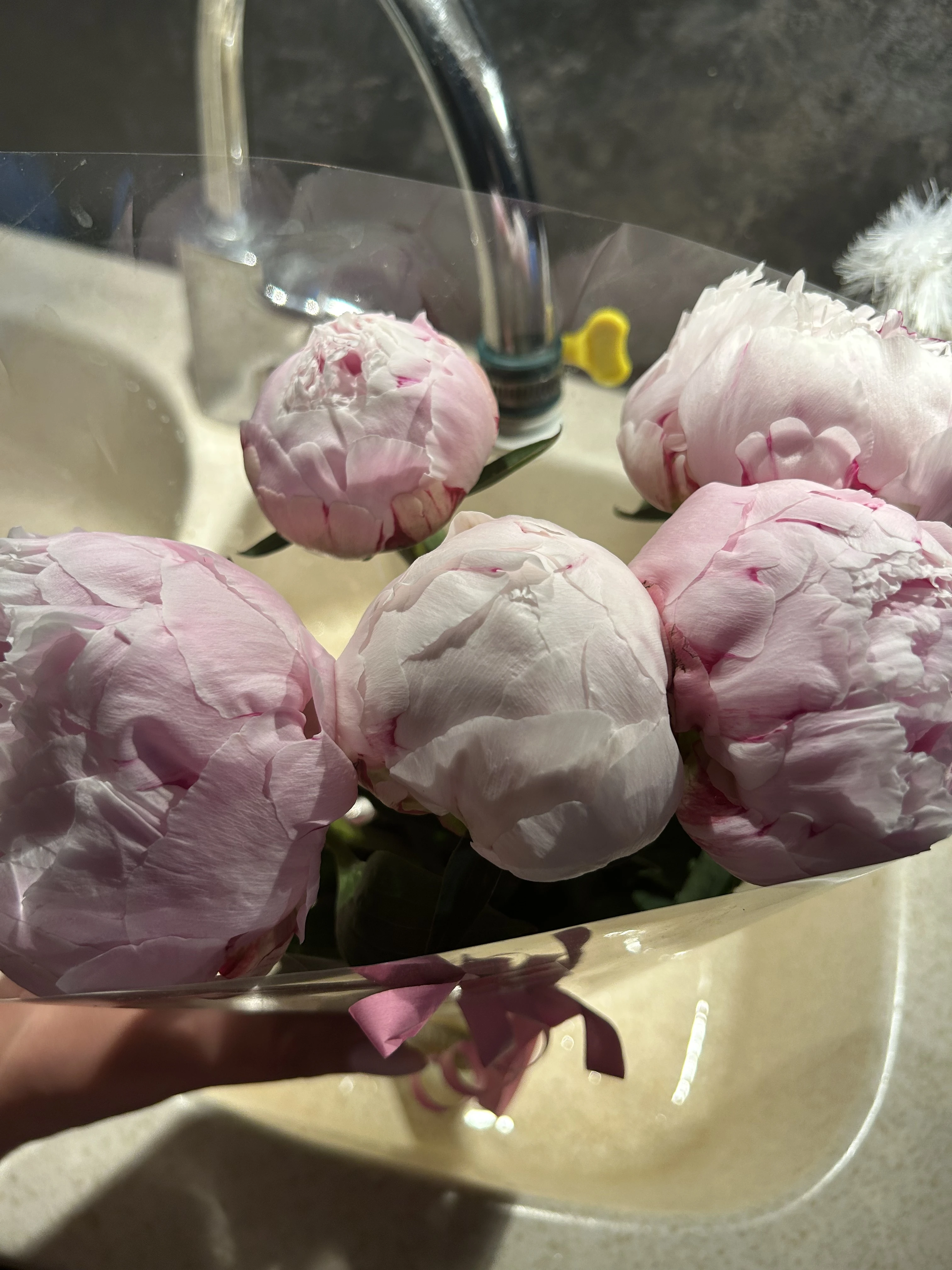 Photo de Dépose une pivoine à mes pieds