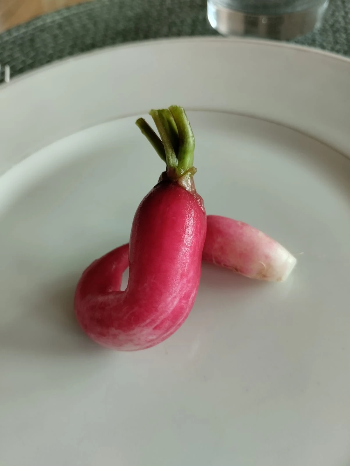 Photo de Dick rating