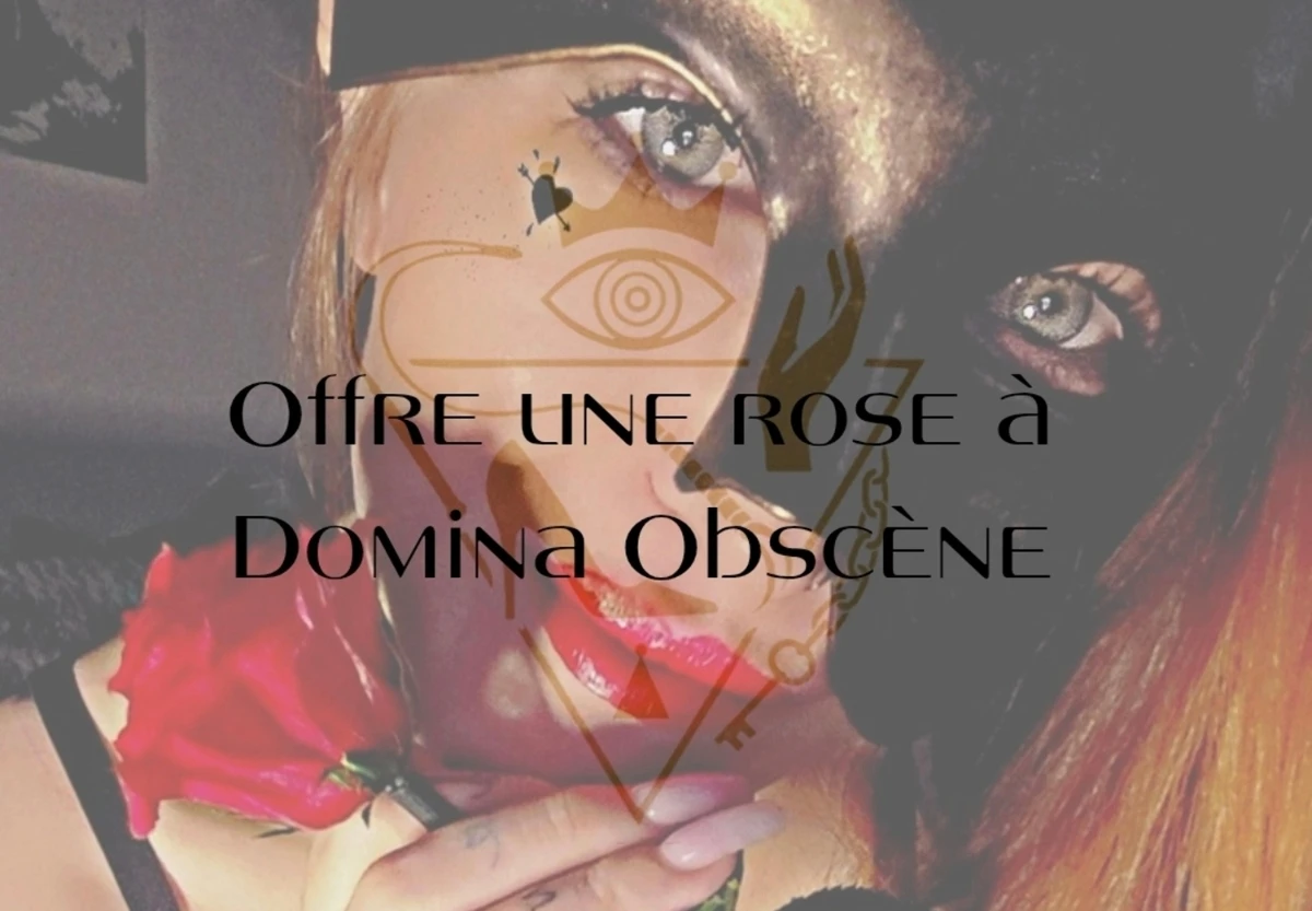 Photo de Une rose rouge