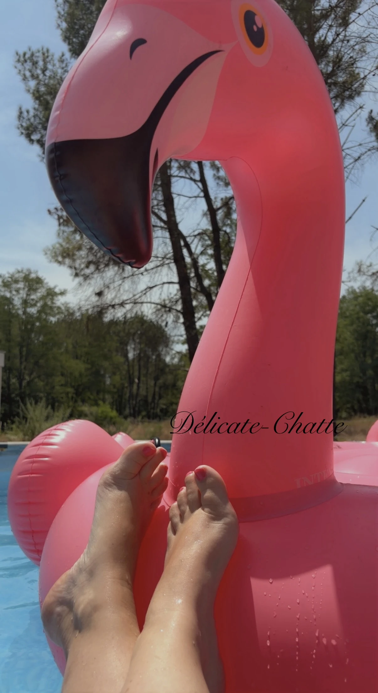 Photo de Mes Petits Pieds en Eté 🦩