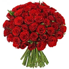 Photo de Offre moi une belle rose