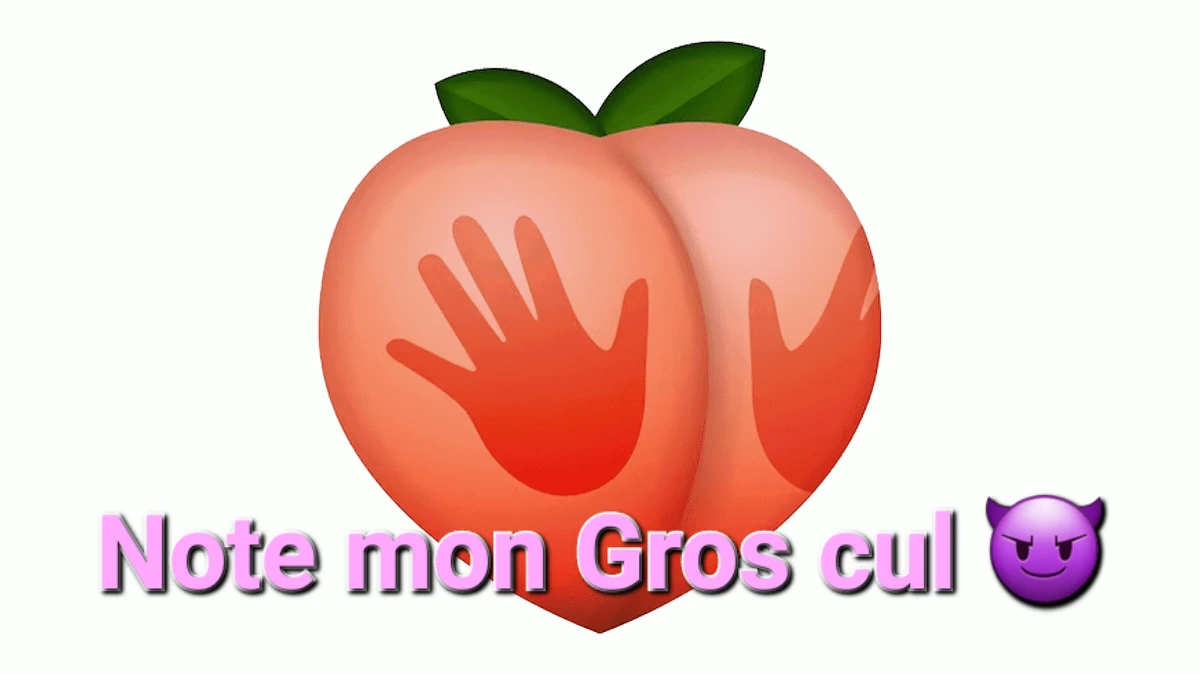 /688cce1fdfd8c.webp