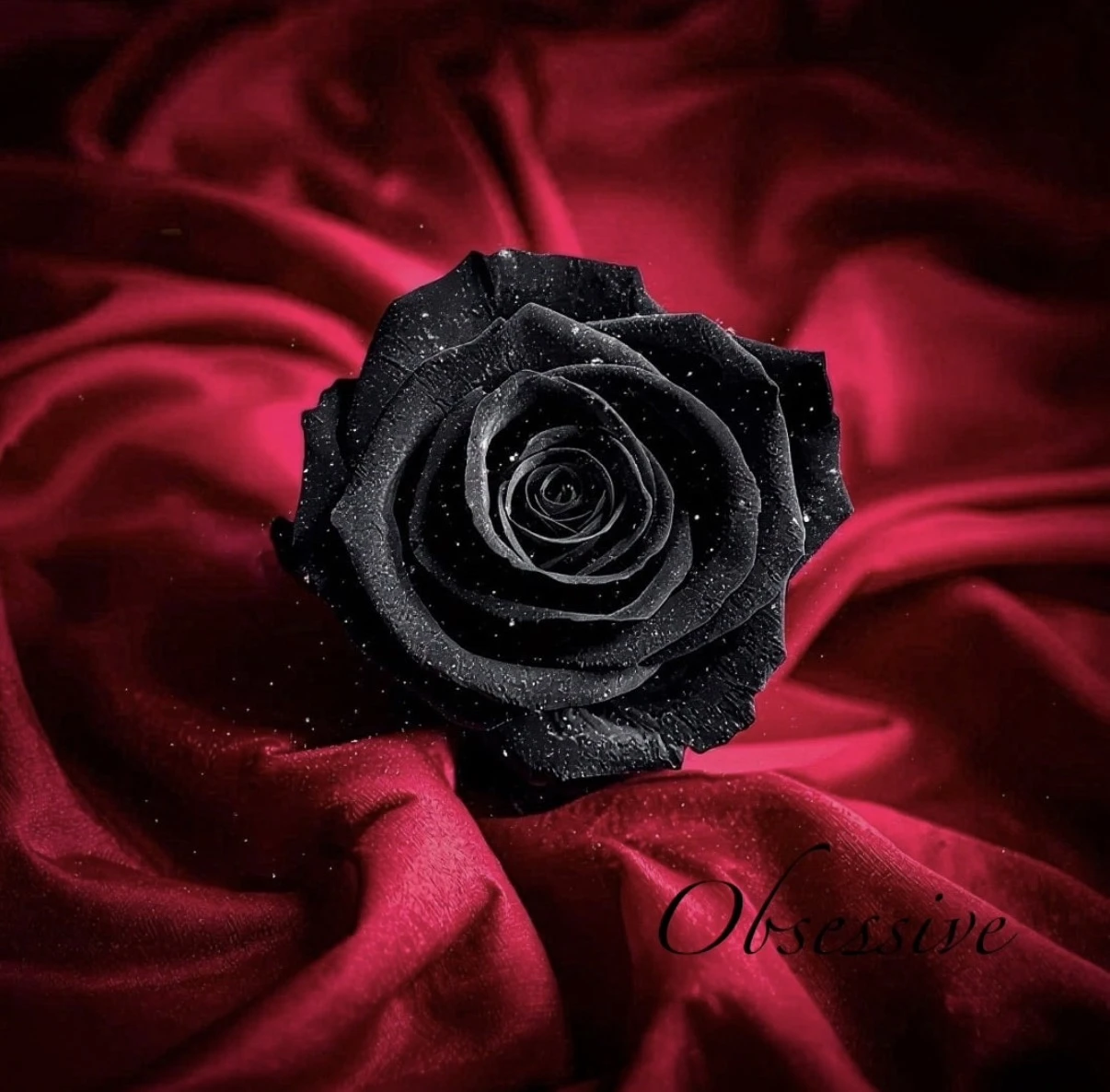 Photo de La Rose Noire 🖤
