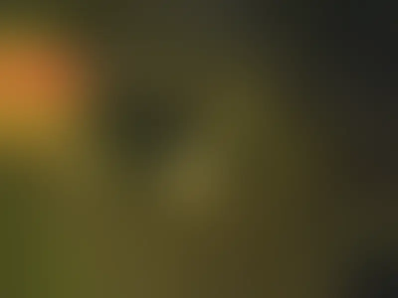 Aper&ccedil;u de Session Photo du Dimanche