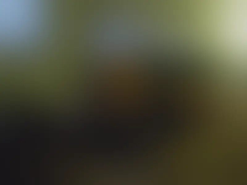 Aper&ccedil;u flout&eacute; 2 sur 4