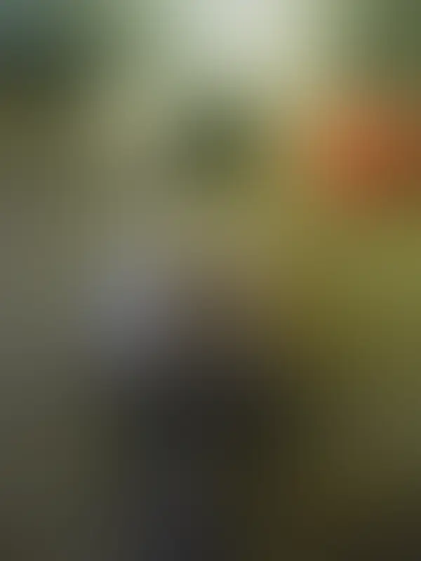 Aper&ccedil;u flout&eacute; 3 sur 4