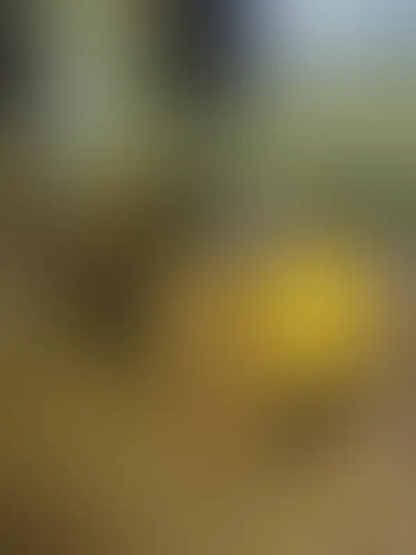 Aper&ccedil;u flout&eacute; 4 sur 4