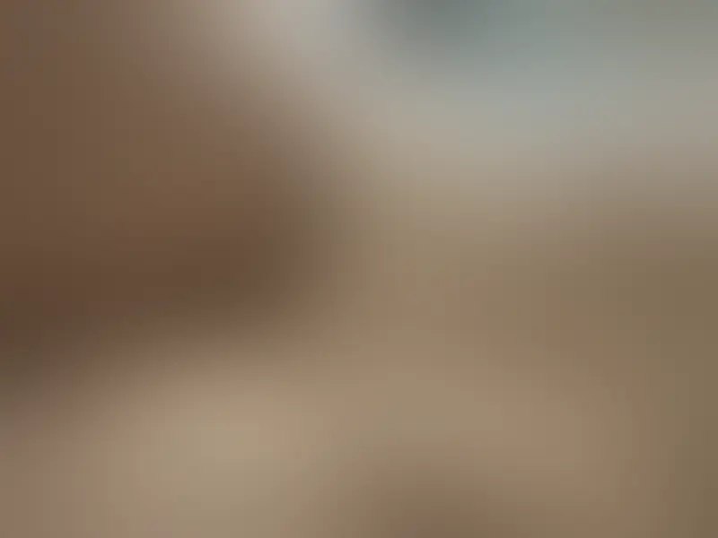 Aper&ccedil;u flout&eacute; 2 sur 12