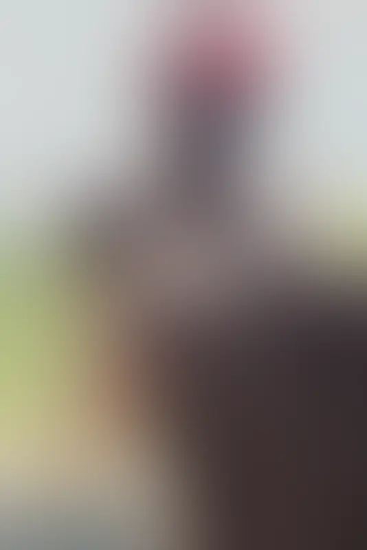 Aper&ccedil;u flout&eacute; 12 sur 12