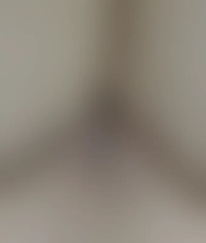 Aper&ccedil;u flout&eacute; 4 sur 12