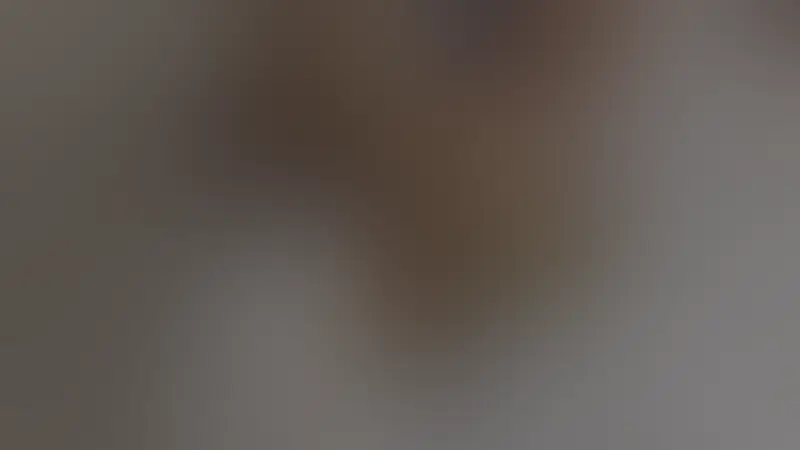 Aper&ccedil;u flout&eacute; 2 sur 9