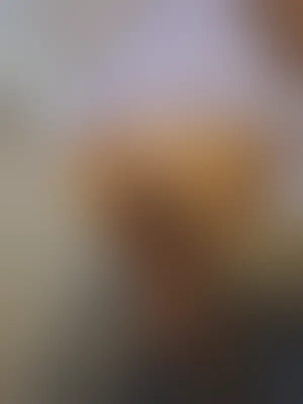 Aperçu flouté 4 sur 7