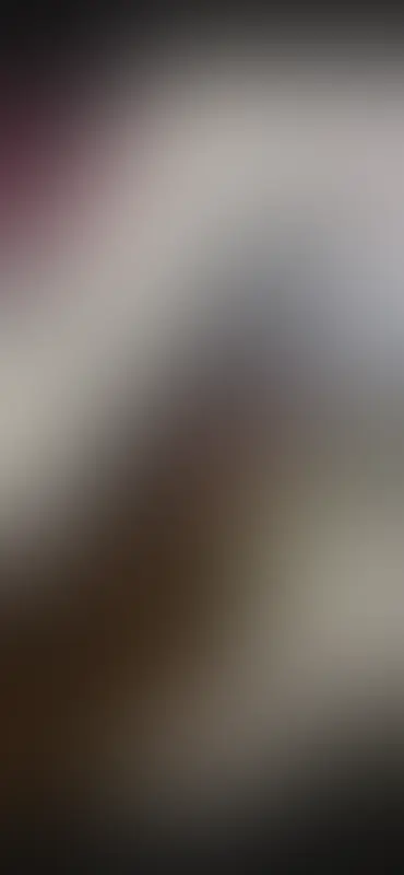 Unscharfe Vorschau 2 von 4