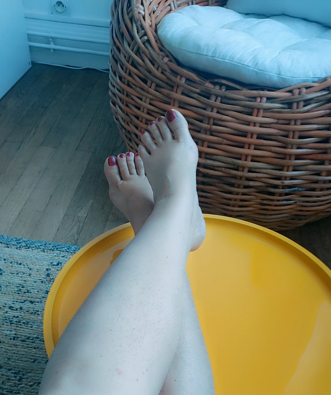 Reinesophie2