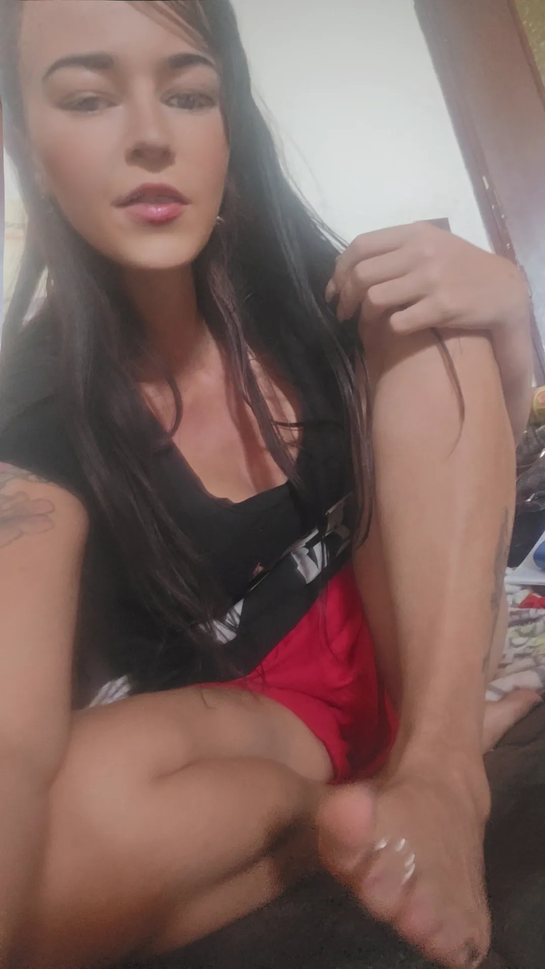 Reiine corse