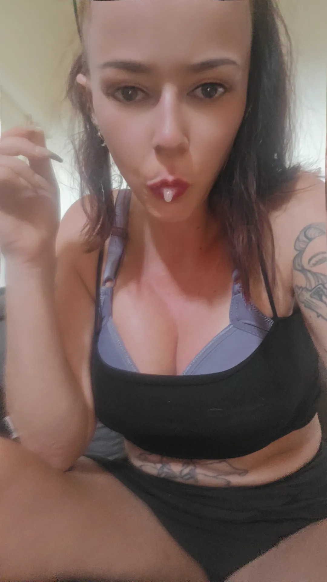 Reiine corse