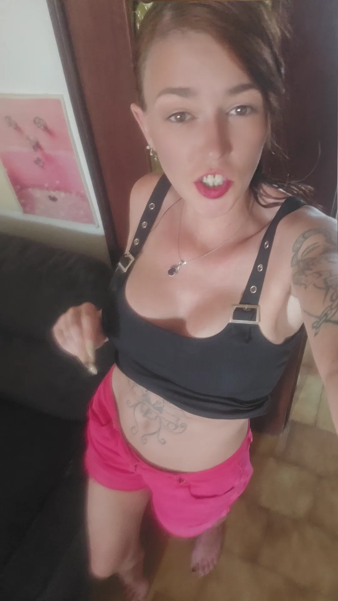 Reiine corse