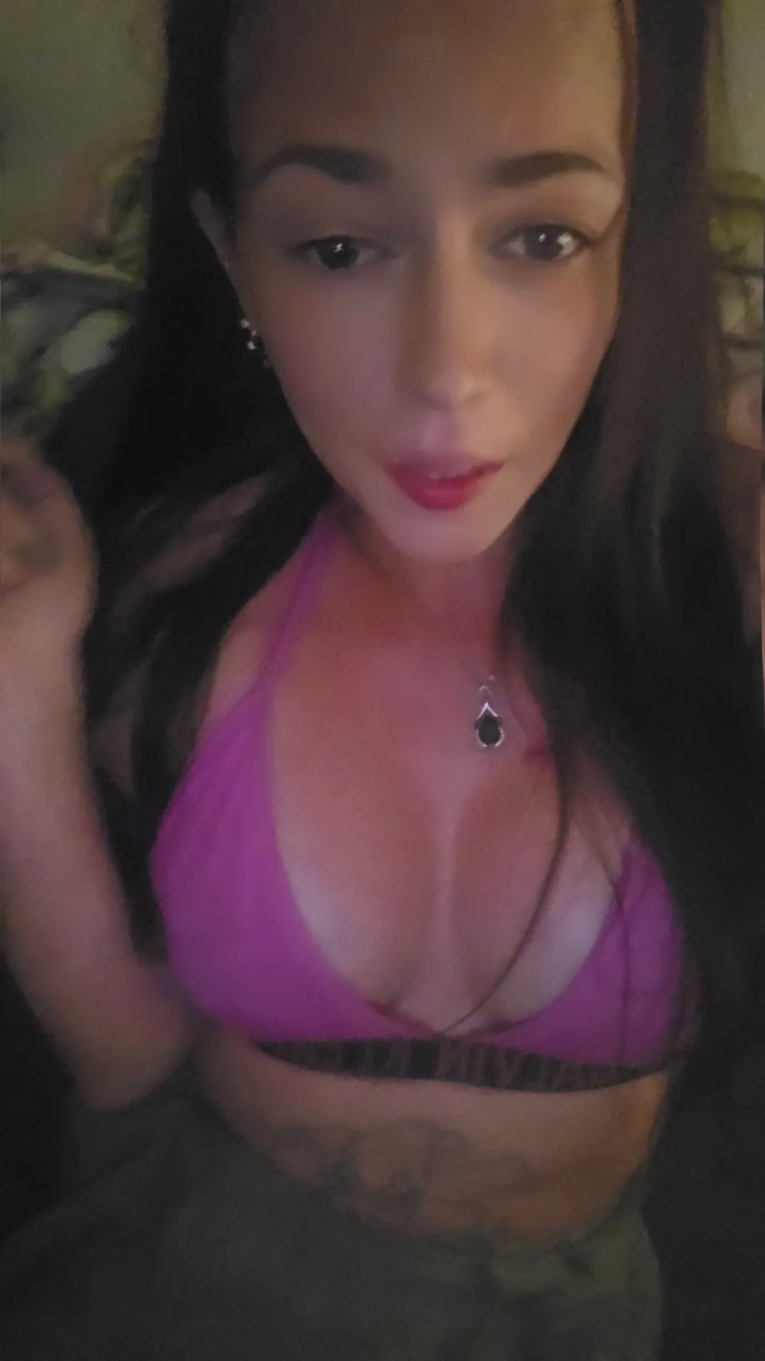 Reiine corse