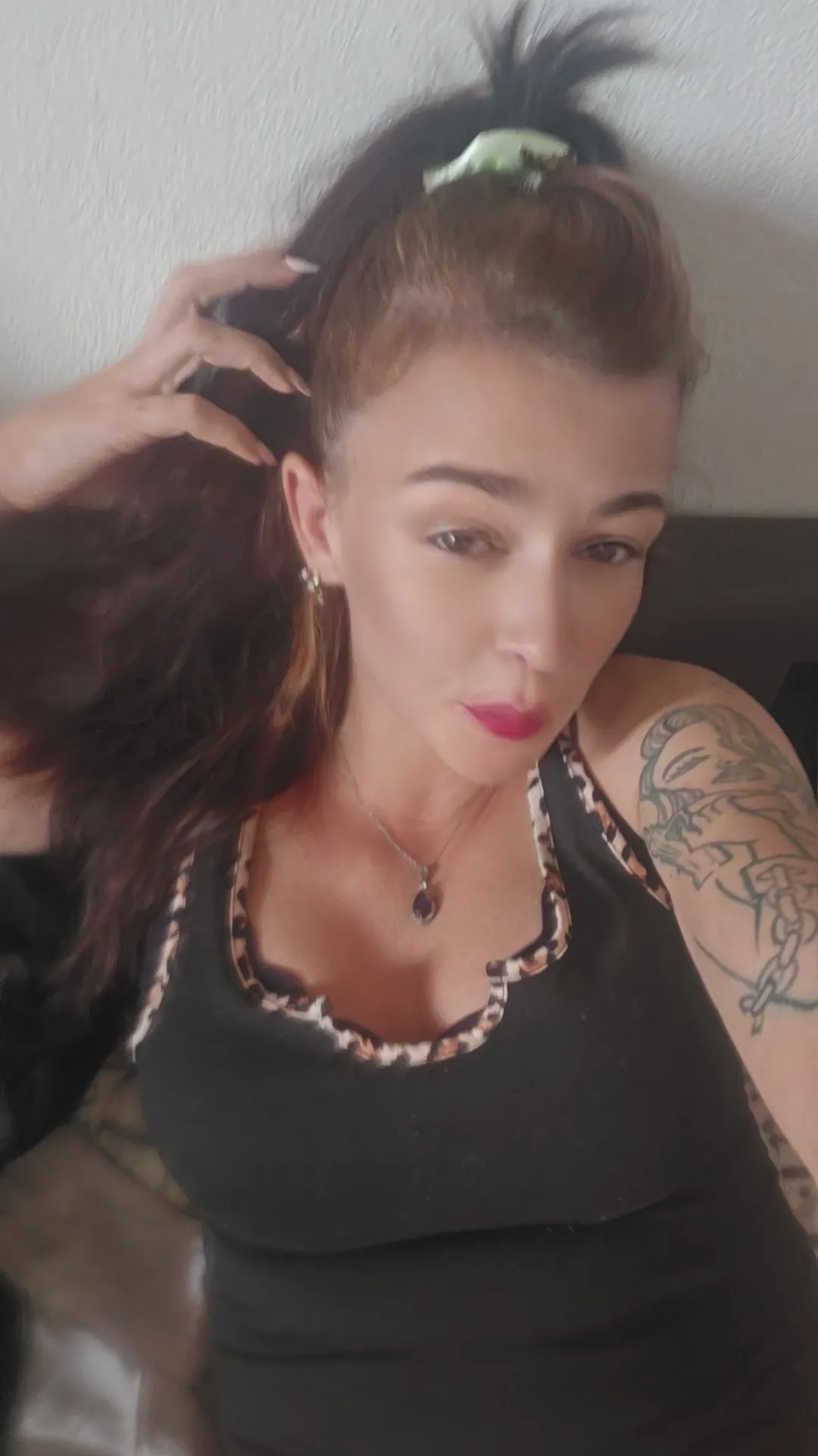 Reiine corse
